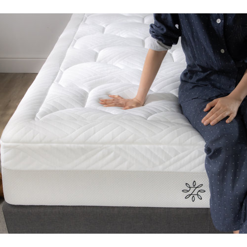 Zinus 12'' Plush Memory Foam Mattress & Reviews Wayfair